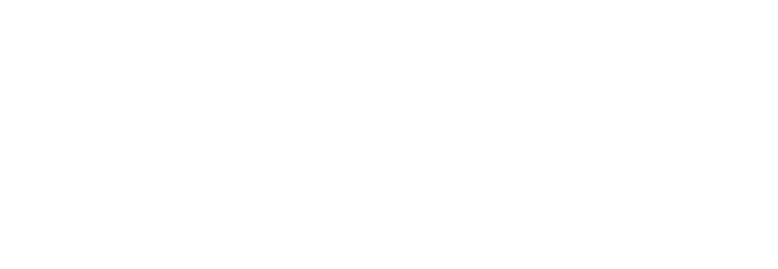 CLASSIC 650