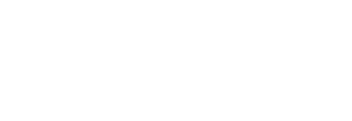 BULLET 650